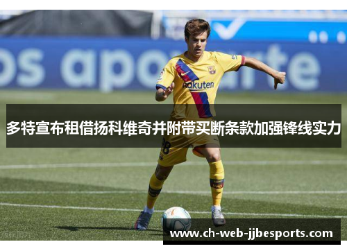 多特宣布租借扬科维奇并附带买断条款加强锋线实力 多特宣布租借扬科维奇并附带买断条款加强锋线实力