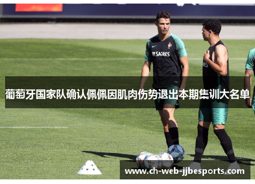 葡萄牙国家队确认佩佩因肌肉伤势退出本期集训大名单